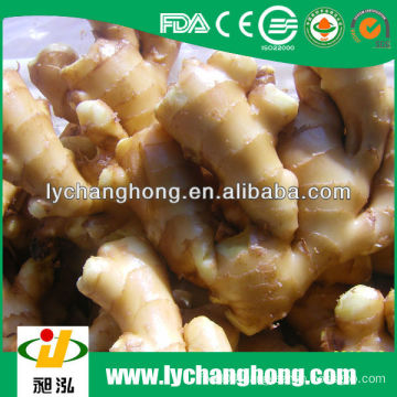 2014 new crop 150gm+ fresh ginger 10kg/ctn packing